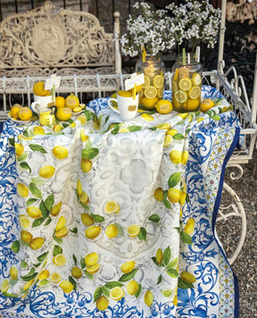 TESSITURA TOSCANA TELERIE Біла скатертина Cetara NT230003020067