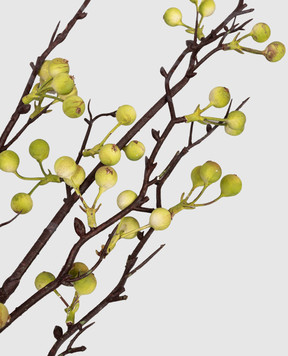 H.Andreas Декоративная ветка с ягодами 1535883E1