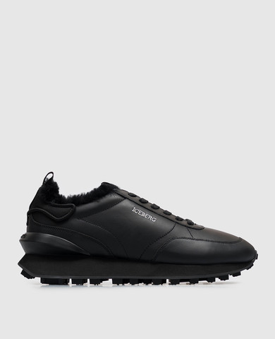 Iceberg