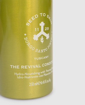 Seed to Skin Кондиционер для волос The Revival 250 мл BL2043