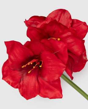 H.Andreas Декоративная ветвь амарилиса 2478444F4