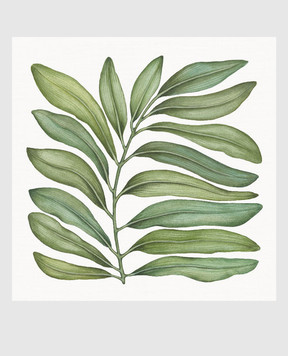 TESSITURA TOSCANA TELERIE Сіра скатертина TAMARINDO з льону NT250061080037