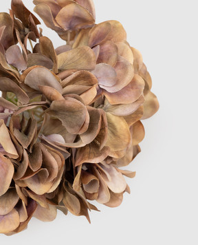 H.Andreas Декоративна гілка гортензії 2281605F3