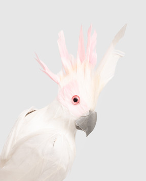 Shishi Декоративна прикраса Parrot 68662