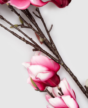 H.Andreas Декоративна гілка магнолії 3025490A3