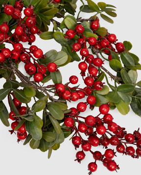 H.Andreas Декоративная ветвь шиповника 1539844F3