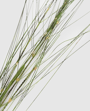 H.Andreas Декоративная ветвь 5158833A2