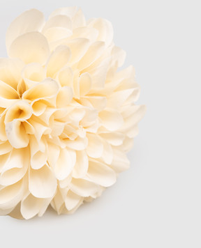 H.Andreas Декоративна гілка жоржини 2455778F6