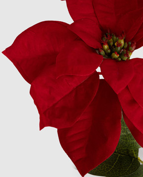 H.Andreas Декоративный цветок пуасентии 1849444F3