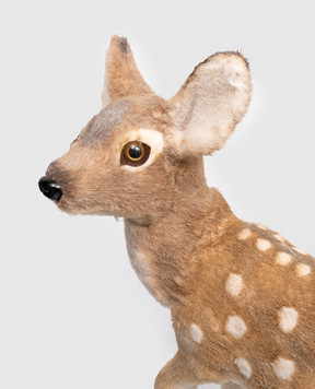 Shishi Декоративна різдвяна прикраса у вигляді оленя 67572