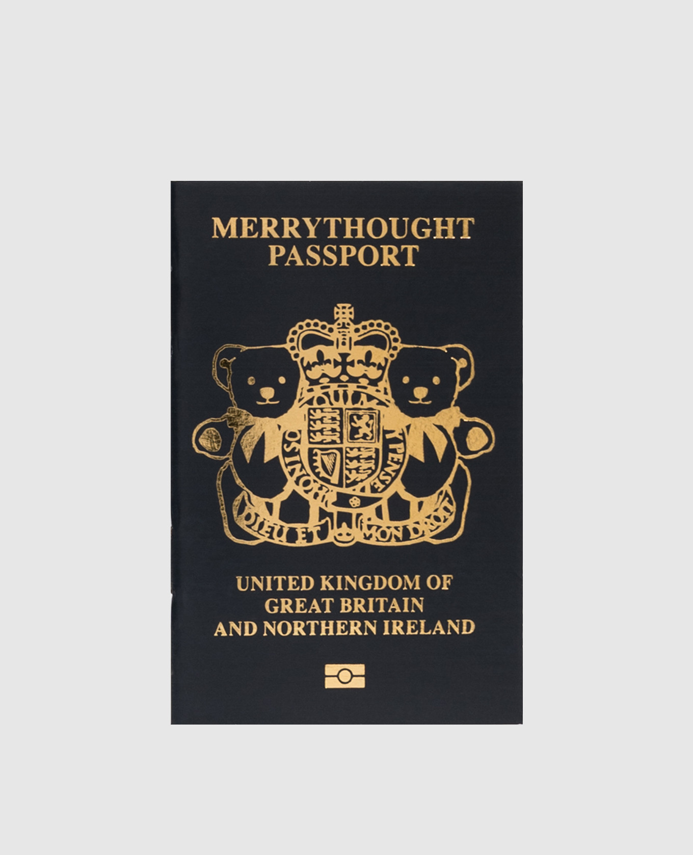 

Синий паспорт Teddy Bear с логотипом, Сувениры