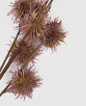 H.Andreas Декоративная ветвь 5837598F5