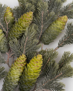 EDG Декоративна ялинкова гілка з шишками 6900072A700