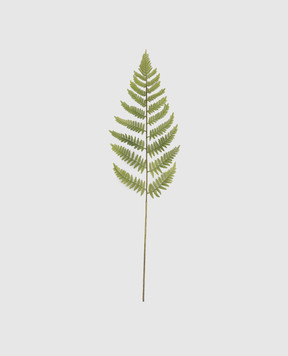 H.Andreas Декоративная ветвь лесного папоротника 6403883F5