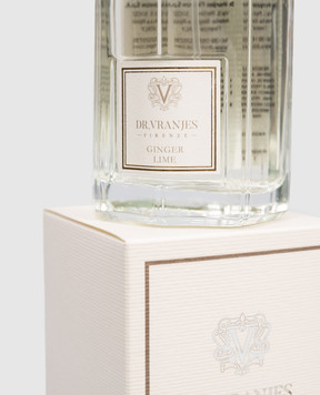 Drvranjes Аромадифузор спрей Ginger Lime 100 мл FRV0014B100ml