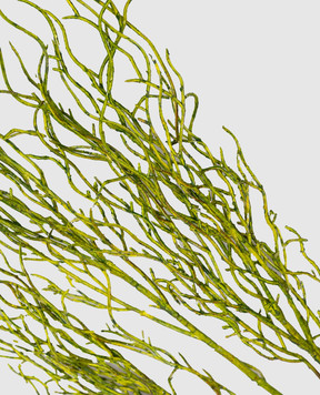 H.Andreas Декоративна гілка верби 5411803A3