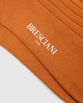 Bresciani Коричневі шкарпетки в рубчик з логотипом MC034UN0004XX