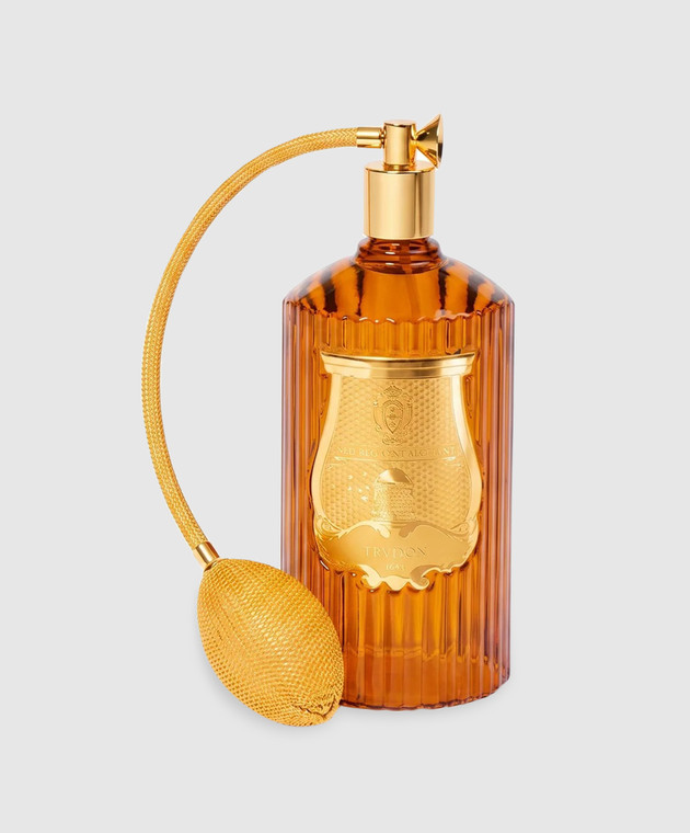 Trudon Ароматизированный спрей для дома Altaïr 375 мл TALT00037526XS001 изображение 2