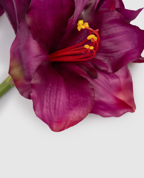 H.Andreas Декоративный цветок амарилиса 2478490F4