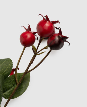 H.Andreas Декоративная ветвь шиповника 1523444F4