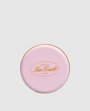 San Carlo Панеттоне з фісташковим марципаном 100 г PAN100PIST