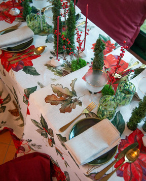 TESSITURA TOSCANA TELERIE Белая скатерть ETOILE из льна NT250109020067