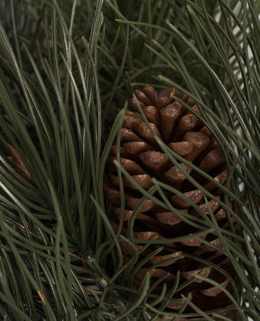 EDG Декоративна соснова гілка з шишками 6900106A700