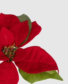 H.Andreas Декоративный горшок пуансетии 4253444F3