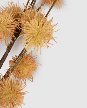 H.Andreas Оранжевая декоративная ветвь 5837553F5