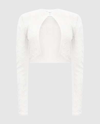 Herve Leger