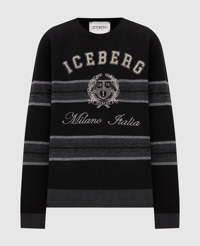 Iceberg
