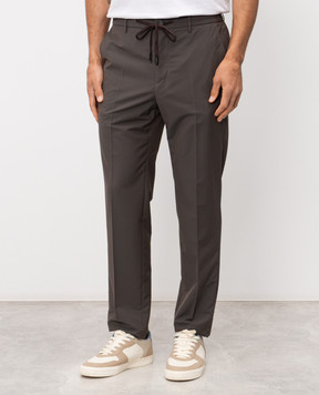 Peserico Коричневі штани з вовною R54295D02561