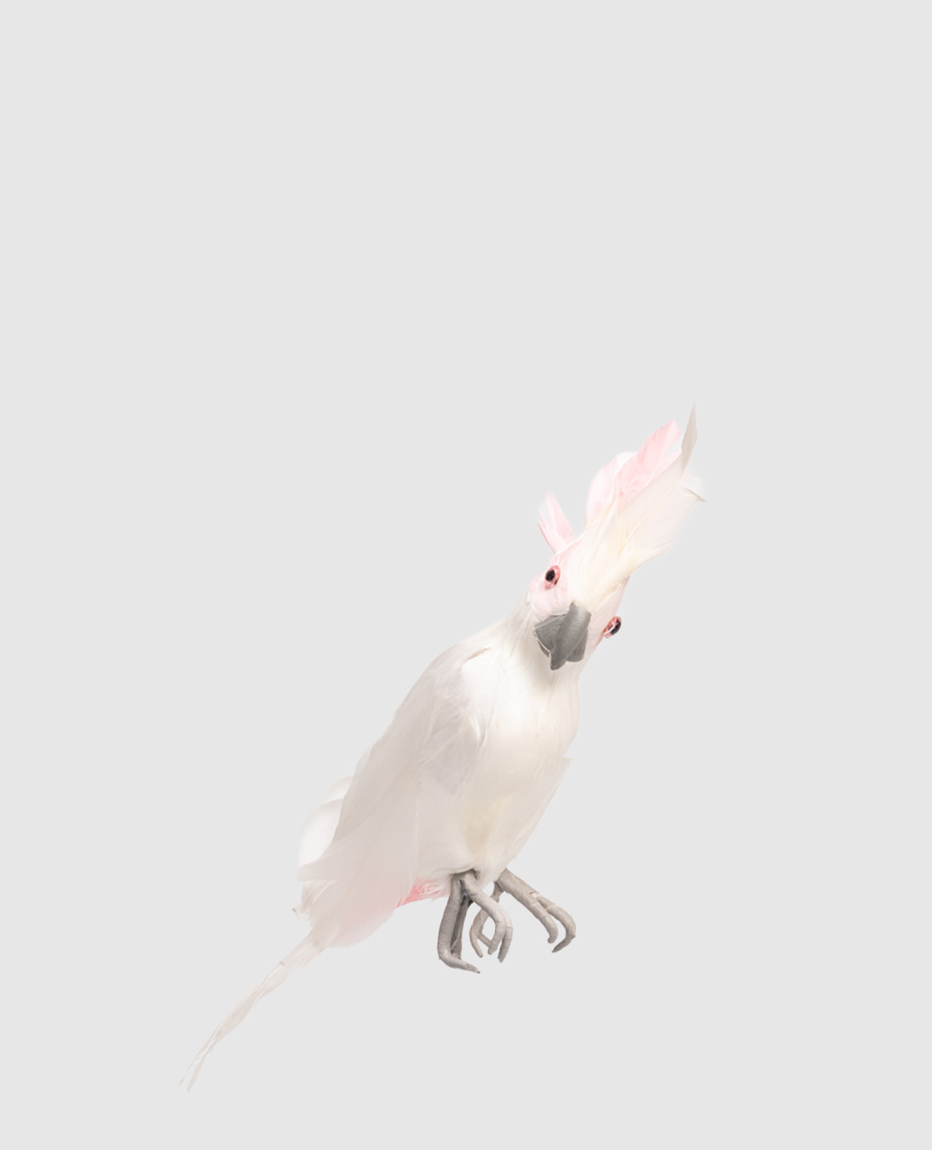 

Декоративное украшение Parrot, Белый, Елочные украшения