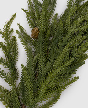 EDG Декоративна гілка криптомерії з шишками 6900114A700