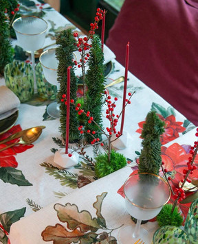 TESSITURA TOSCANA TELERIE Біла скатертина ETOILE NT250108020067