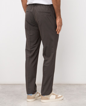 Peserico Коричневі штани з вовною R54295D02561