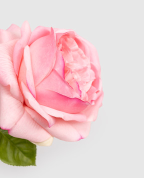 H.Andreas Декоративный цветок розы 2790510F5