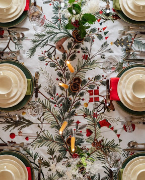 TESSITURA TOSCANA TELERIE Біла скатертина RUDY NT250143010037