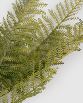 H.Andreas Декоративна гілка папороті 6411883F5