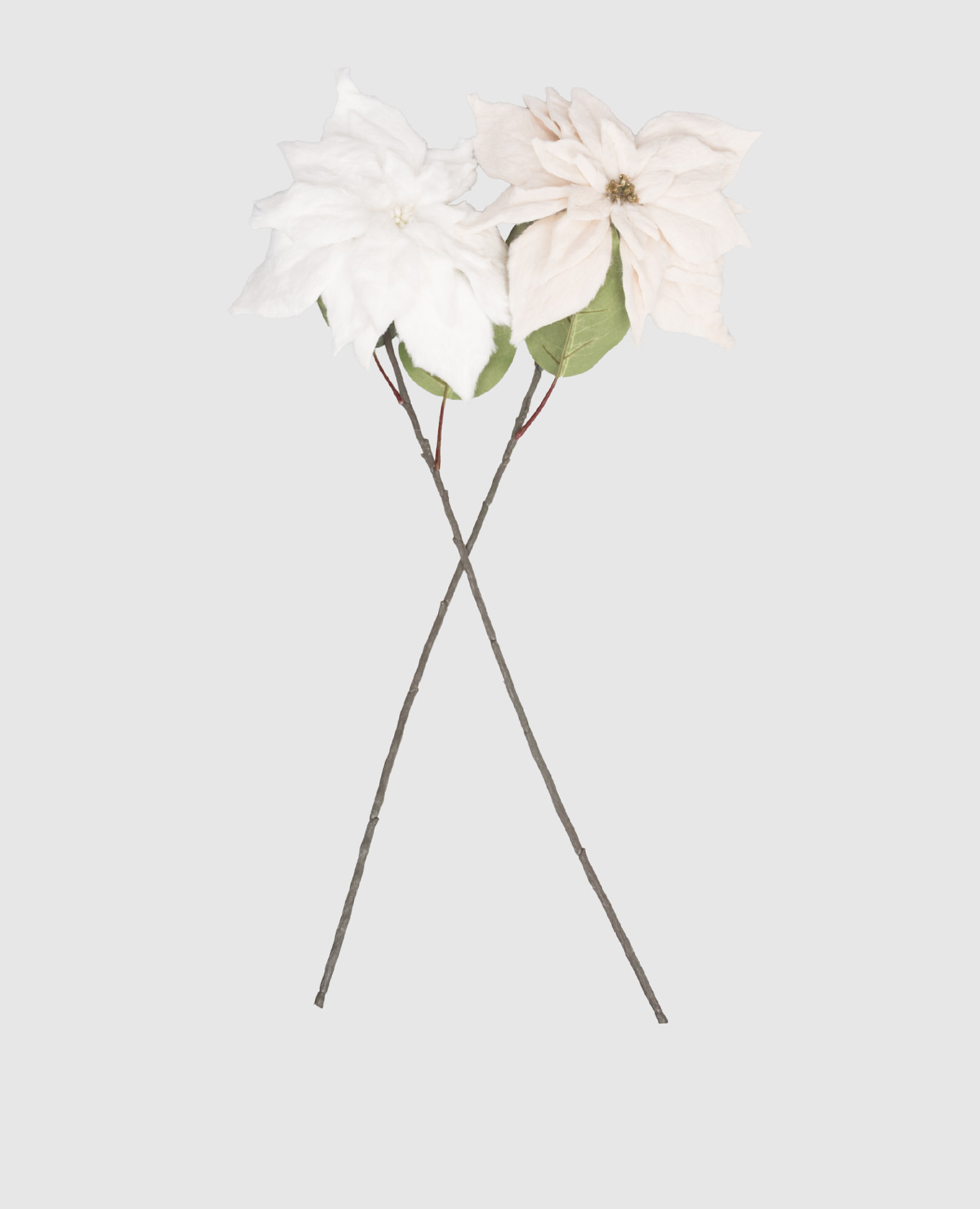 

Набор декоративных цветов Poinsettia, Зеленый, Декор