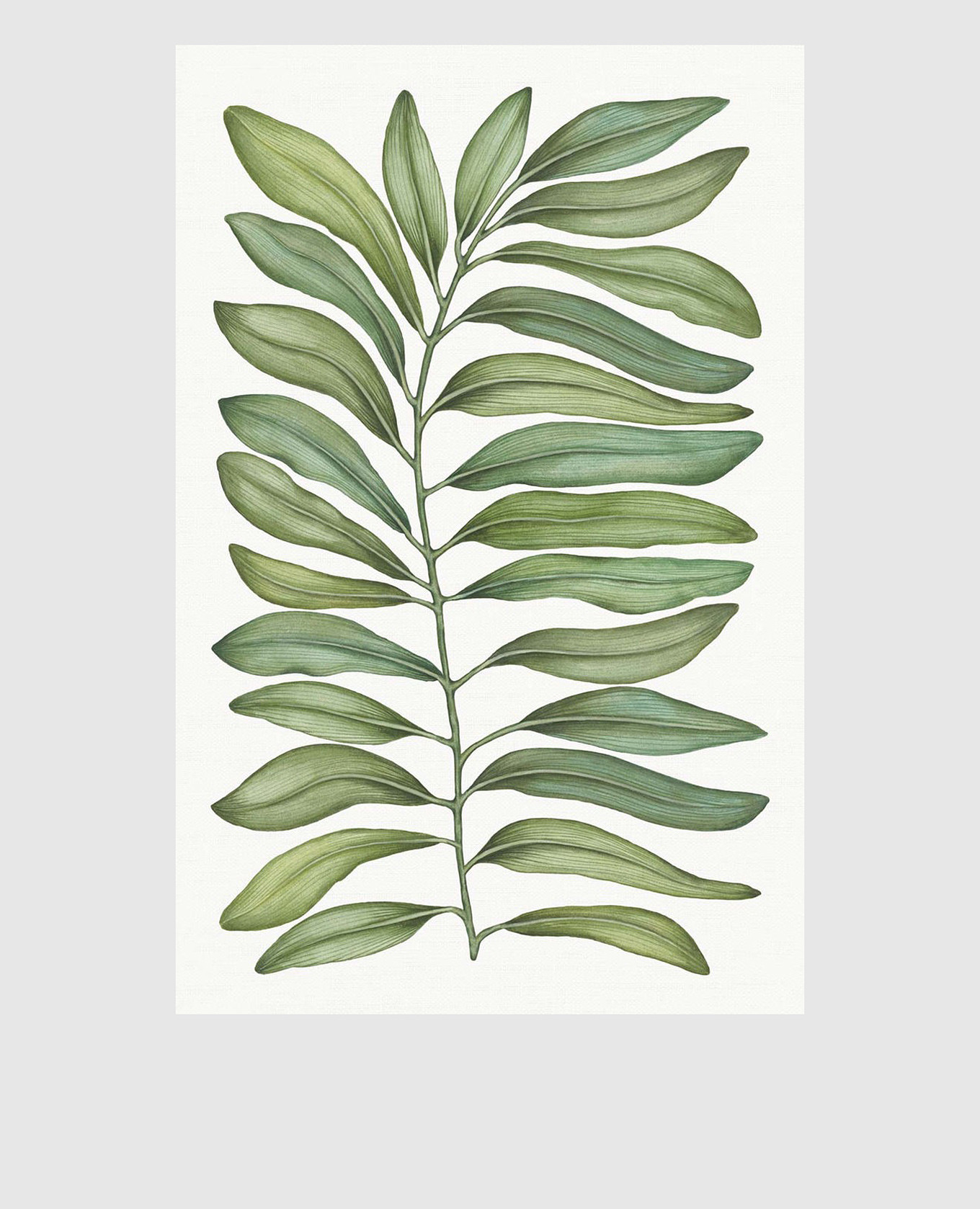 

Серая скатерть TAMARINDO из льна, Серый, Скатерти